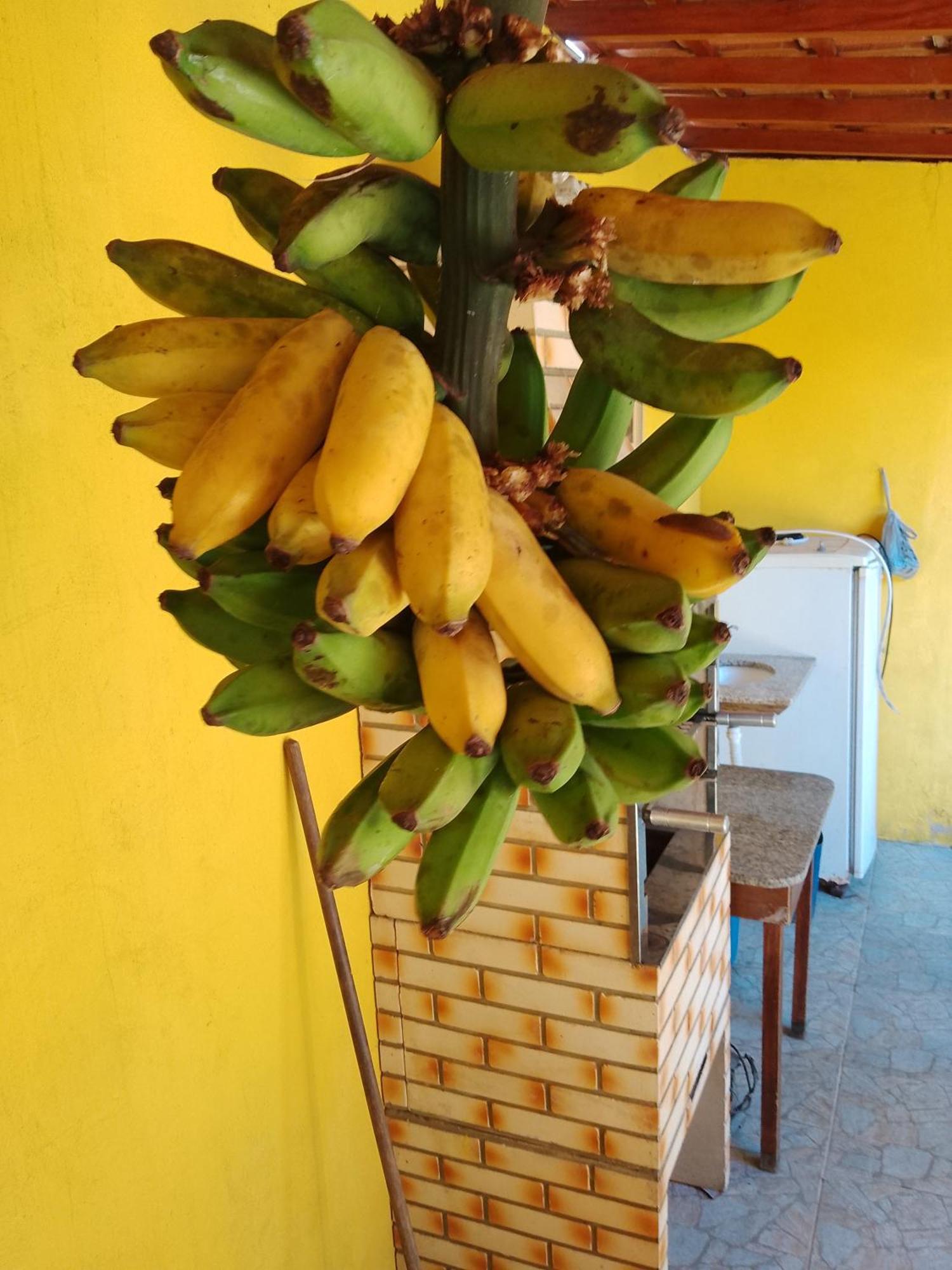 Casa De Temporada Lindas Cachoeiras 10 ปาราตี ภายนอก รูปภาพ